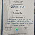 Powiększ obraz: certificate 2