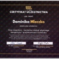 Powiększ obraz: certificate 10