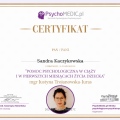Powiększ obraz: certificate 11