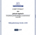 Powiększ obraz: certificate 8