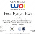 Powiększ obraz: certificate 13
