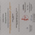 Powiększ obraz: certificate 12
