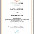 Powiększ obraz: certificate 13