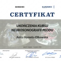 Powiększ obraz: certificate 10