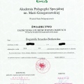 Powiększ obraz: certificate 1