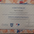 Powiększ obraz: certificate 1