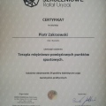 Powiększ obraz: certificate 3
