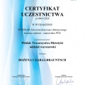 Powiększ obraz: certificate 3