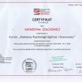 Powiększ obraz: certificate 2