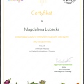 Powiększ obraz: certificate 5