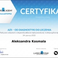 Powiększ obraz: certificate 15
