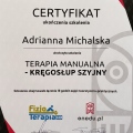 Powiększ obraz: certificate 1