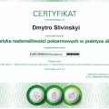 Powiększ obraz: certificate 3