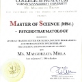 Powiększ obraz: certificate 1