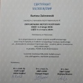 Powiększ obraz: certificate 16