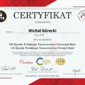 Powiększ obraz: certificate 20