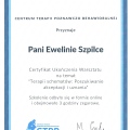 Powiększ obraz: certificate 6