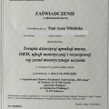 Powiększ obraz: certificate 10