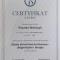 Powiększ obraz: certificate 6