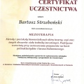 Powiększ obraz: certificate 13