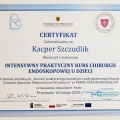 Powiększ obraz: certificate 8