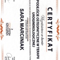 Powiększ obraz: certificate 3