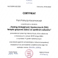 Powiększ obraz: certificate 9