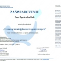 Powiększ obraz: certificate 3