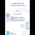 Powiększ obraz: certificate 6