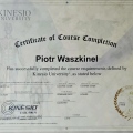 Powiększ obraz: certificate 13