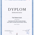 Powiększ obraz: certificate 7