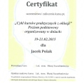Powiększ obraz: certificate 17