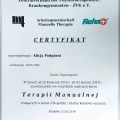Powiększ obraz: certificate 5