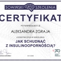 Powiększ obraz: certificate 3