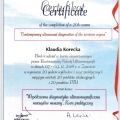 Powiększ obraz: certificate 9