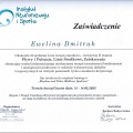 Powiększ obraz: certificate 13