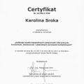 Powiększ obraz: certificate 10