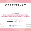 Powiększ obraz: certificate 3