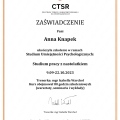 Powiększ obraz: certificate 2