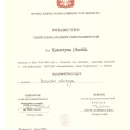 Powiększ obraz: certificate 1