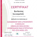 Powiększ obraz: certificate 3