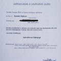 Powiększ obraz: certificate 2