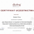 Powiększ obraz: certificate 11