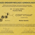 Powiększ obraz: certificate 6