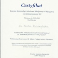 Powiększ obraz: certificate 20