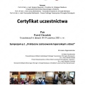 Powiększ obraz: certificate 2