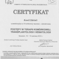 Powiększ obraz: certificate 2