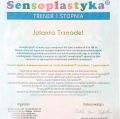 Powiększ obraz: certificate 2