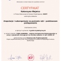 Powiększ obraz: certificate 40