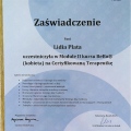 Powiększ obraz: certificate 9
